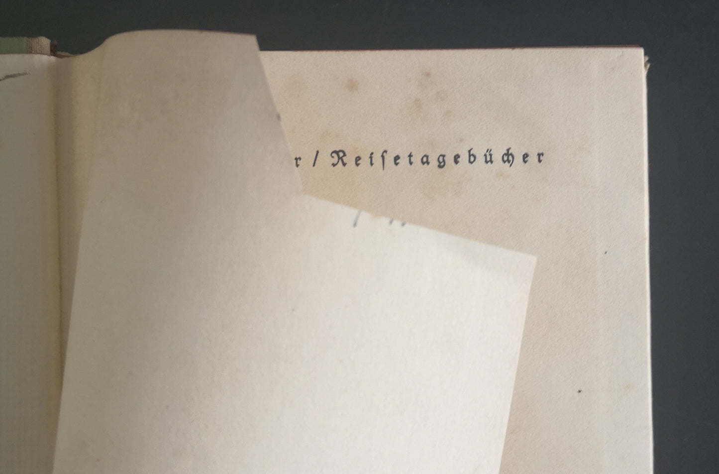 Arthur Schopenhauer Reisetagebücher - Erstausgabe