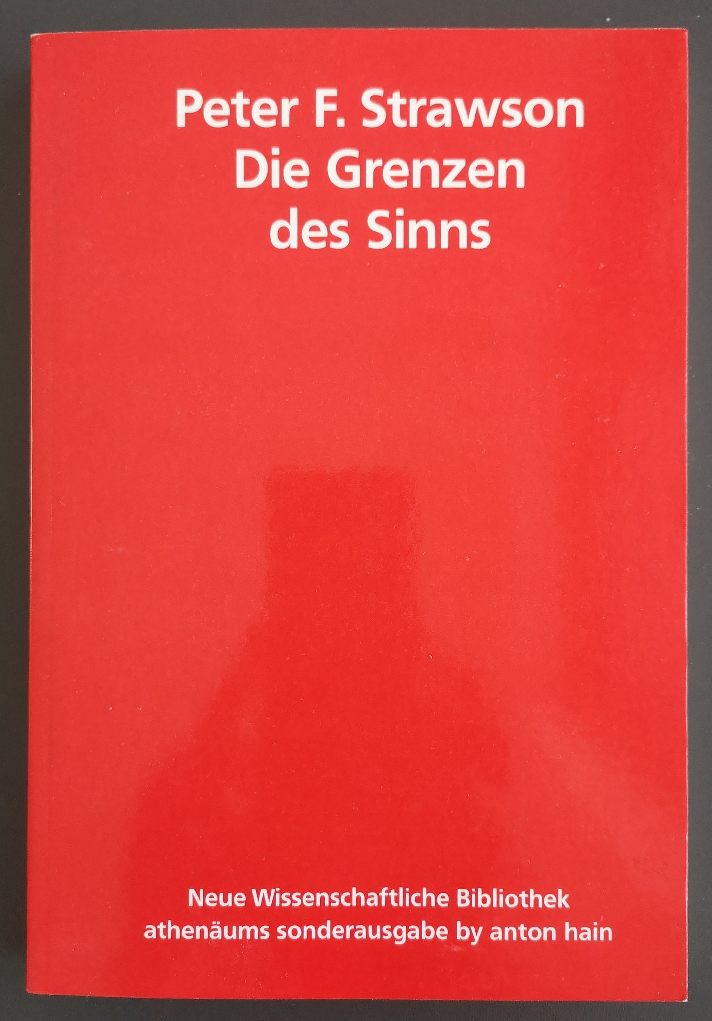 Die Grenzen des Sinns